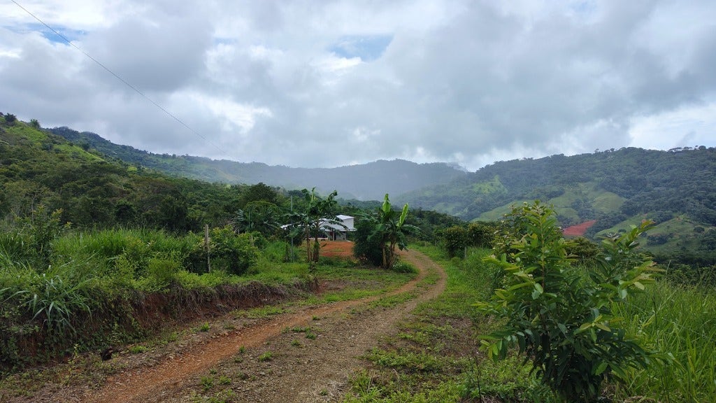 Beautiful Mountain View 8 acre Property — photo 13 of 19