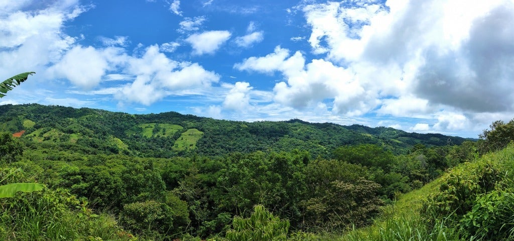 Beautiful Mountain View 8 acre Property — photo 15 of 19