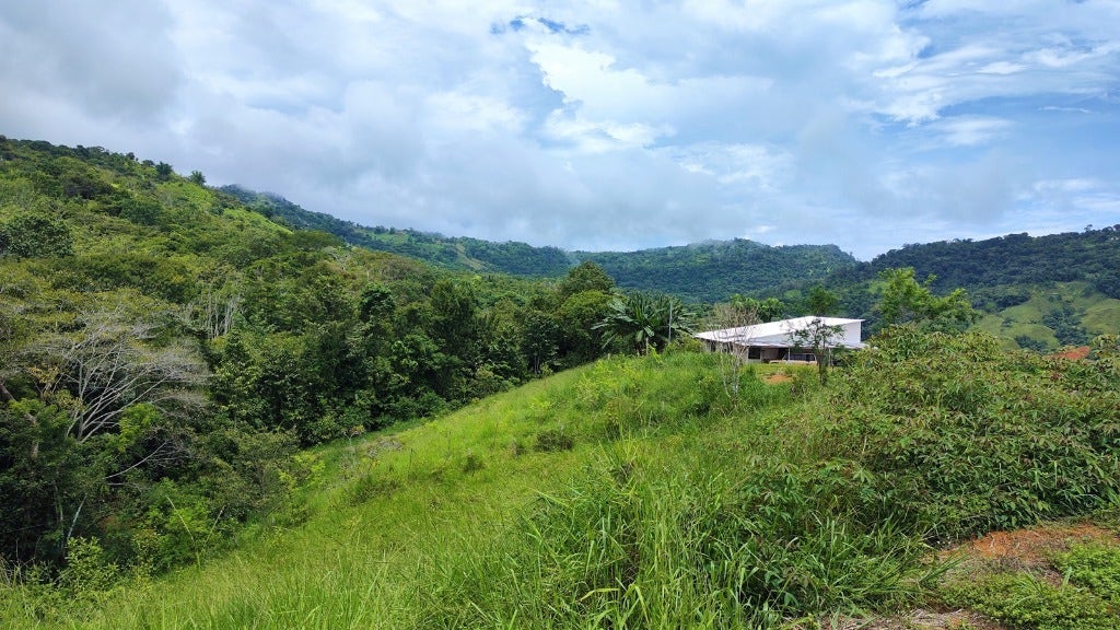 Beautiful Mountain View 8 acre Property — photo 18 of 19
