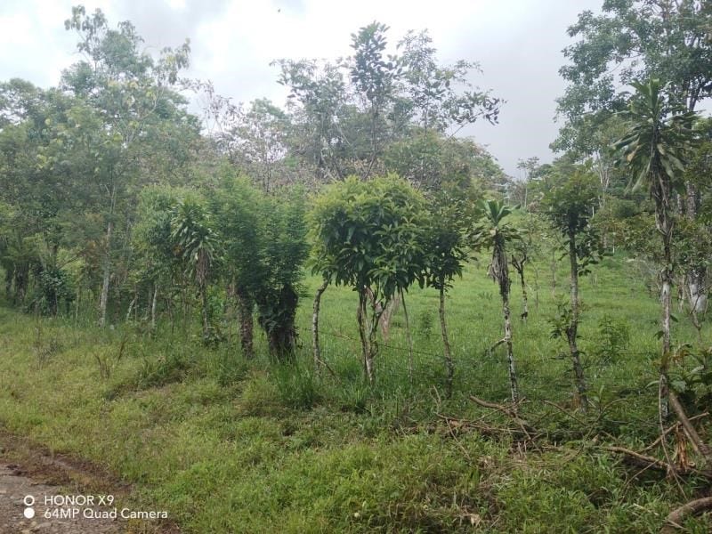 4.5 Acres with River, Spring and Traditional House — photo 3 of 13