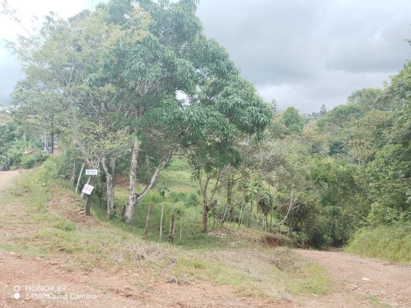 4.5 Acres with River, Spring and Traditional House — photo 7 of 13