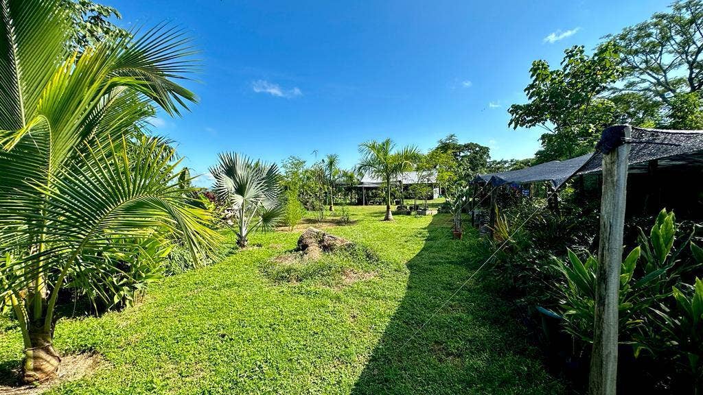 Ocean View Lot in Brisas del Cabo , San Isidro, Brisas Del Cabo, San Isidro, Santa Teresa, Cobano, Puntarenas, Puntarenas, Costa Rica 60111 Ocean View Lot in Brisas del Cabo , San Isidro, Brisas Del Cabo, San Isidro, Santa Teresa, Cobano, Puntarenas, Puntarenas, Costa Rica 60111