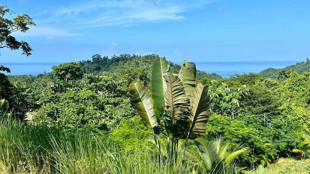 Ocean View Lot in Brisas del Cabo , San Isidro, Brisas Del Cabo, San Isidro, Santa Teresa, Cobano, Puntarenas, Puntarenas, Costa Rica 60111 Ocean View Lot in Brisas del Cabo , San Isidro, Brisas Del Cabo, San Isidro, Santa Teresa, Cobano, Puntarenas, Puntarenas, Costa Rica 60111