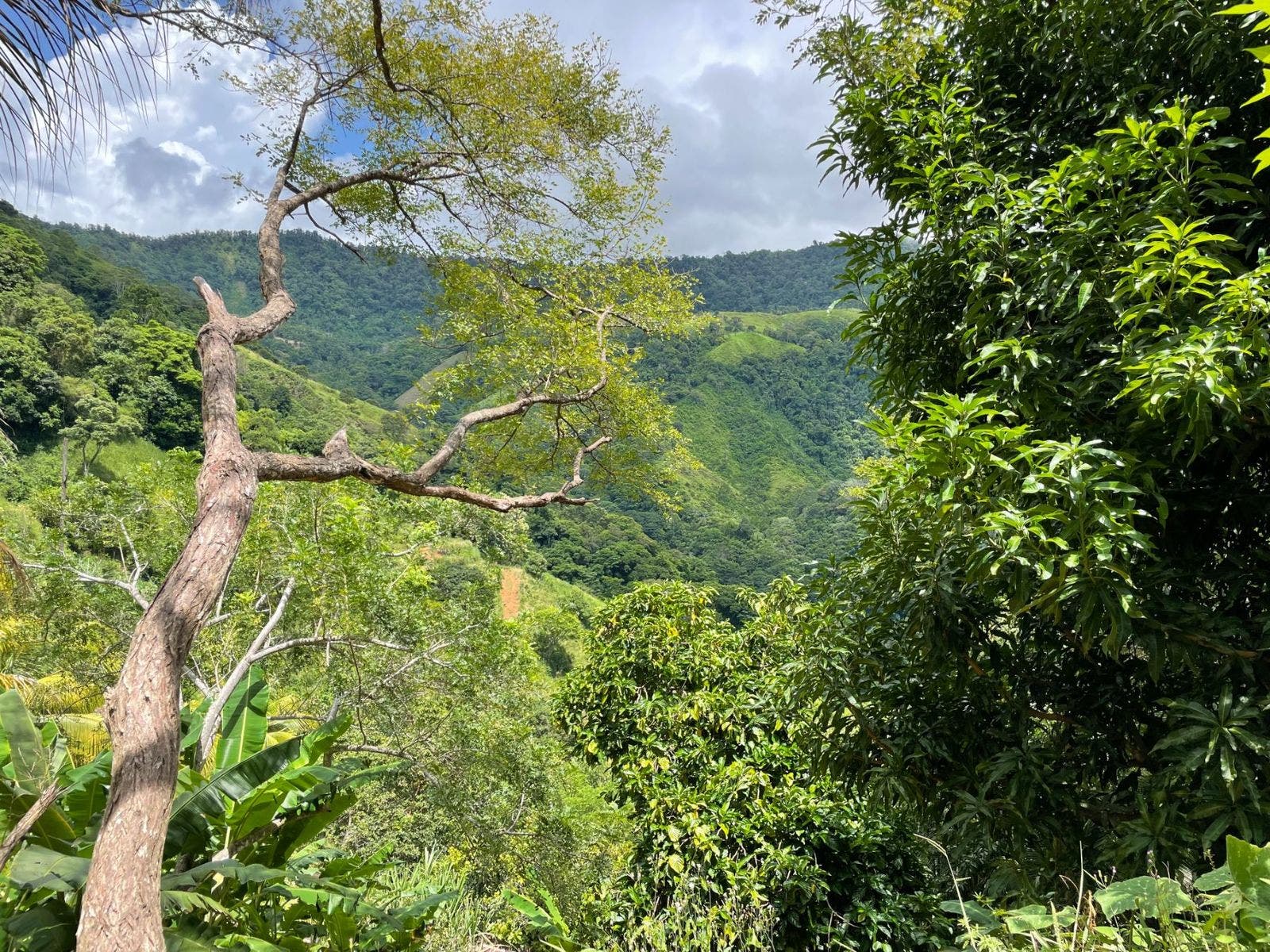 San Josecito Estate with Panoramic Ocean View — photo 2 of 18