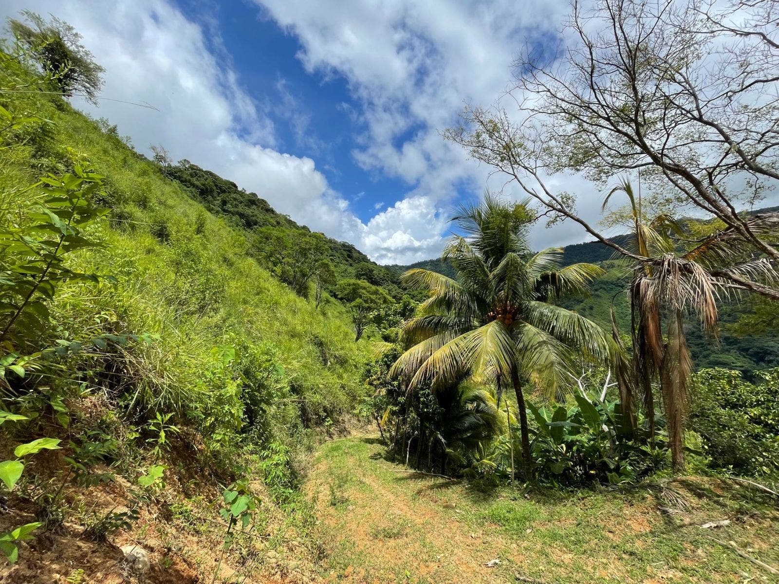 San Josecito Estate with Panoramic Ocean View — photo 3 of 18