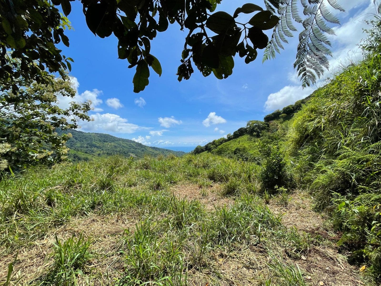 San Josecito Estate with Panoramic Ocean View — photo 4 of 18