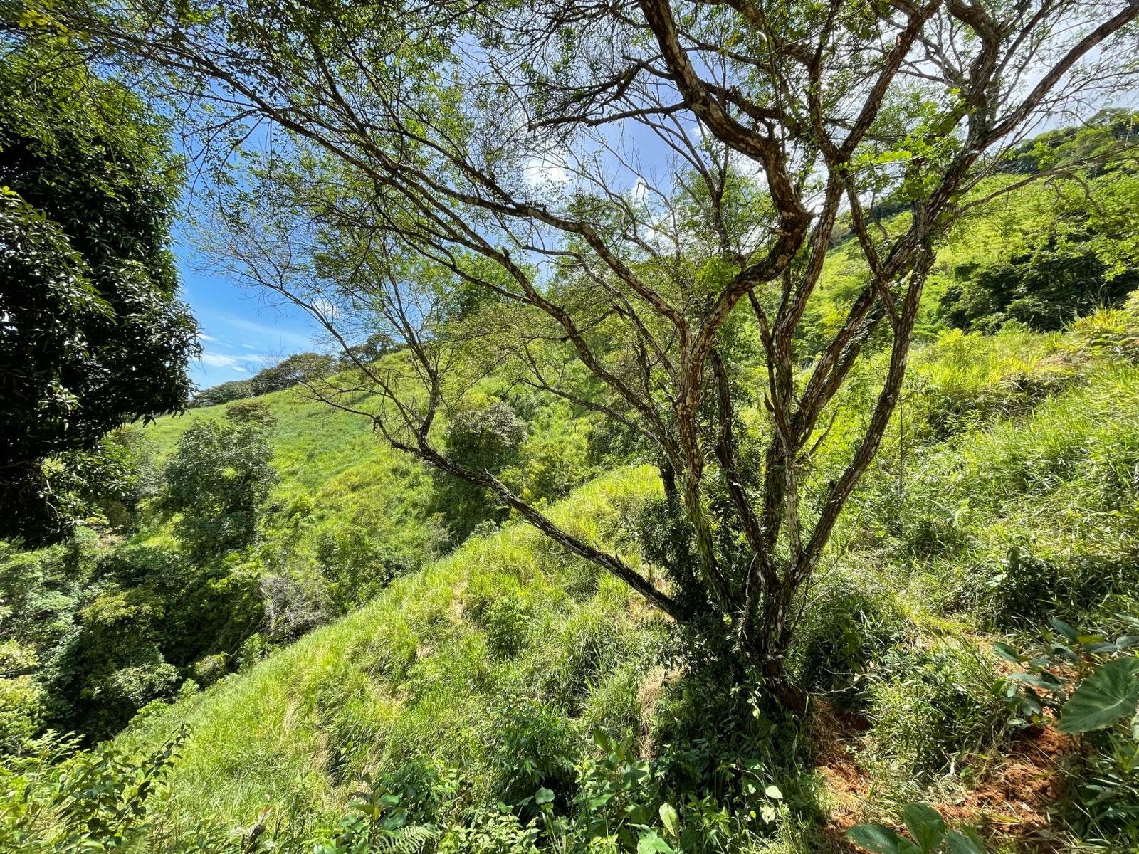 San Josecito Estate with Panoramic Ocean View — photo 5 of 18