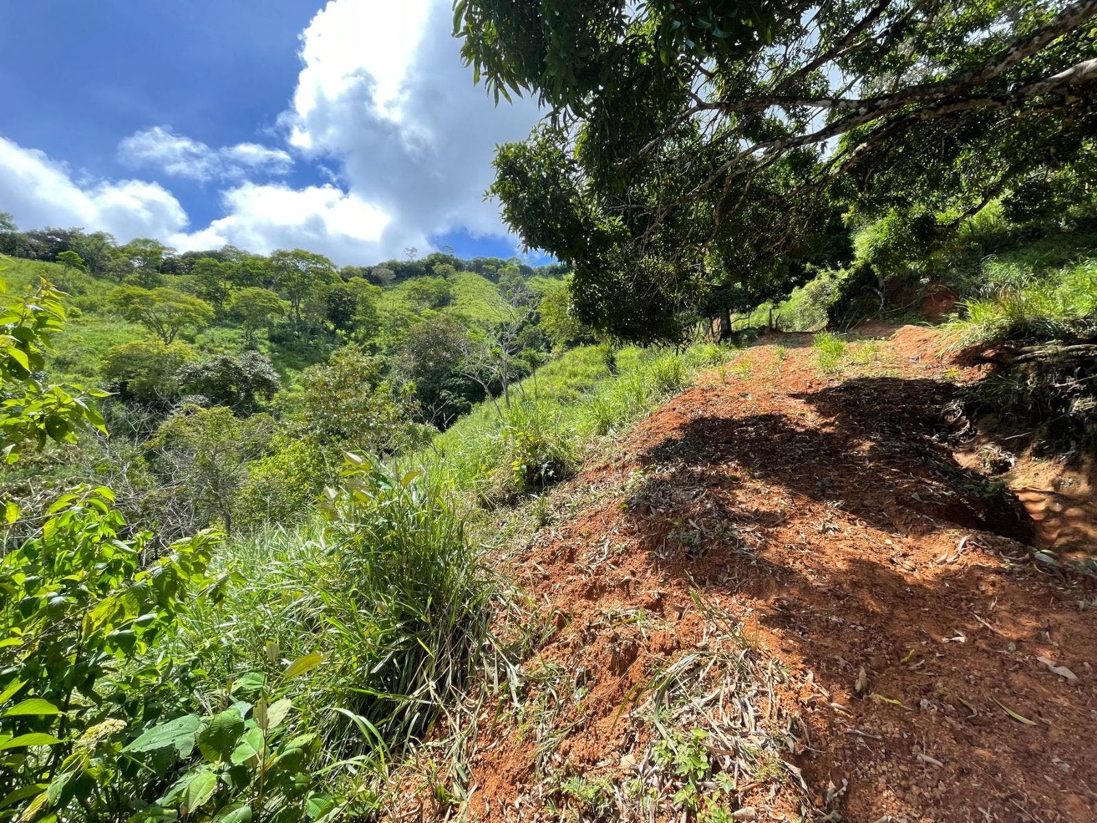 San Josecito Estate with Panoramic Ocean View — photo 6 of 18