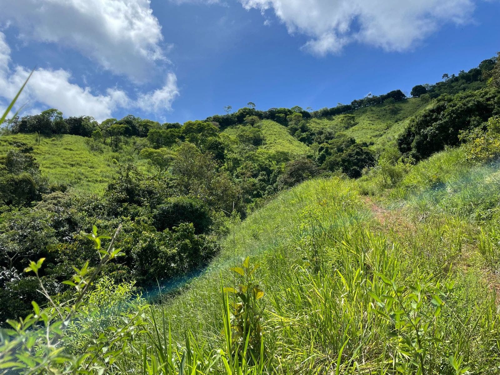 San Josecito Estate with Panoramic Ocean View — photo 7 of 18