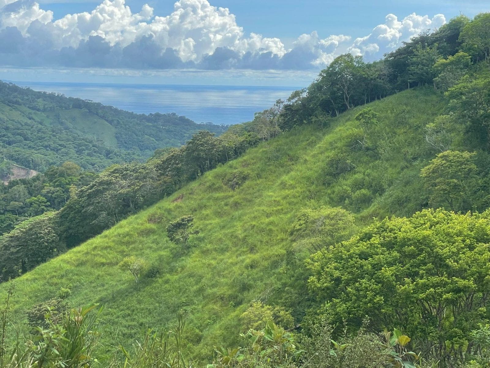 San Josecito Estate with Panoramic Ocean View — photo 18 of 18