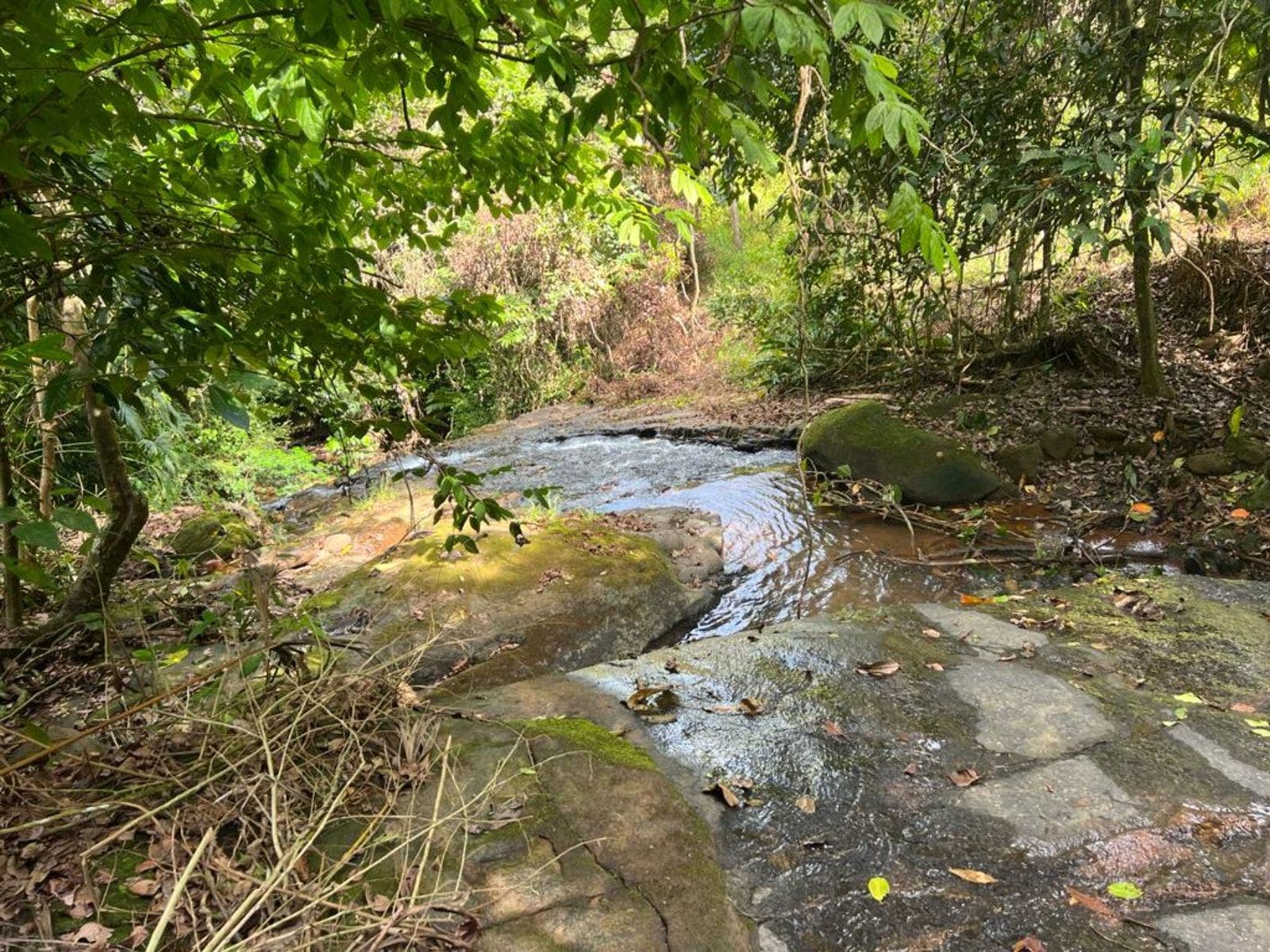 Multipurpose Farm with Accessible Waterfalls, Matapalo, Manuel Antonio, Savegre, Puntarenas, Puntarenas, Costa Rica 60602