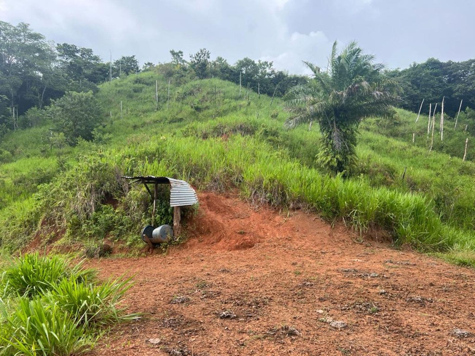 Multipurpose Farm with Accessible Waterfalls — foto 11 de 11