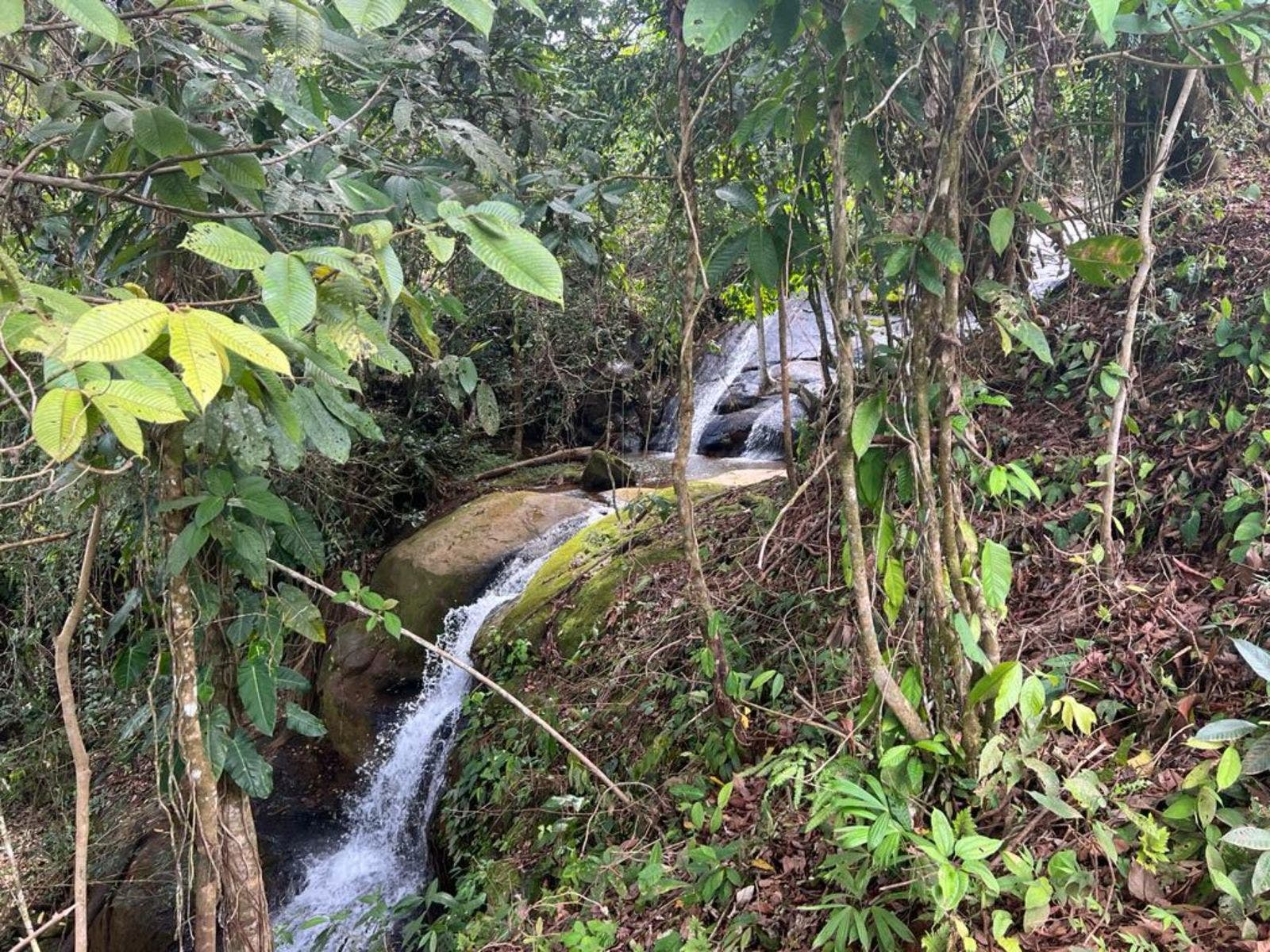 Multipurpose Farm with Accessible Waterfalls — foto 6 de 11