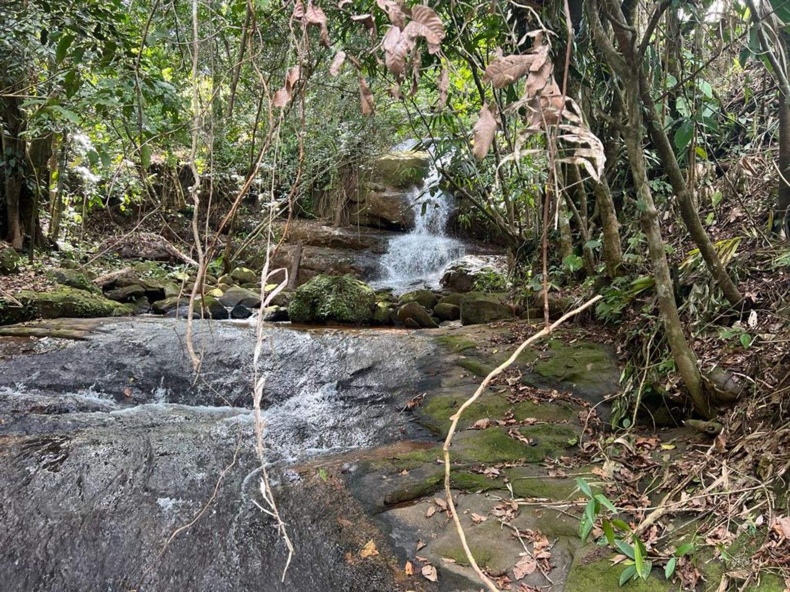 Multipurpose Farm with Accessible Waterfalls — foto 8 de 11