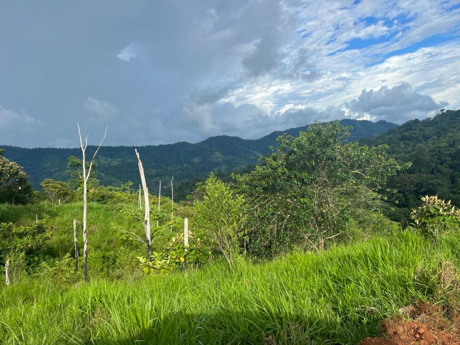 Multipurpose Farm with Accessible Waterfalls — foto 2 de 11