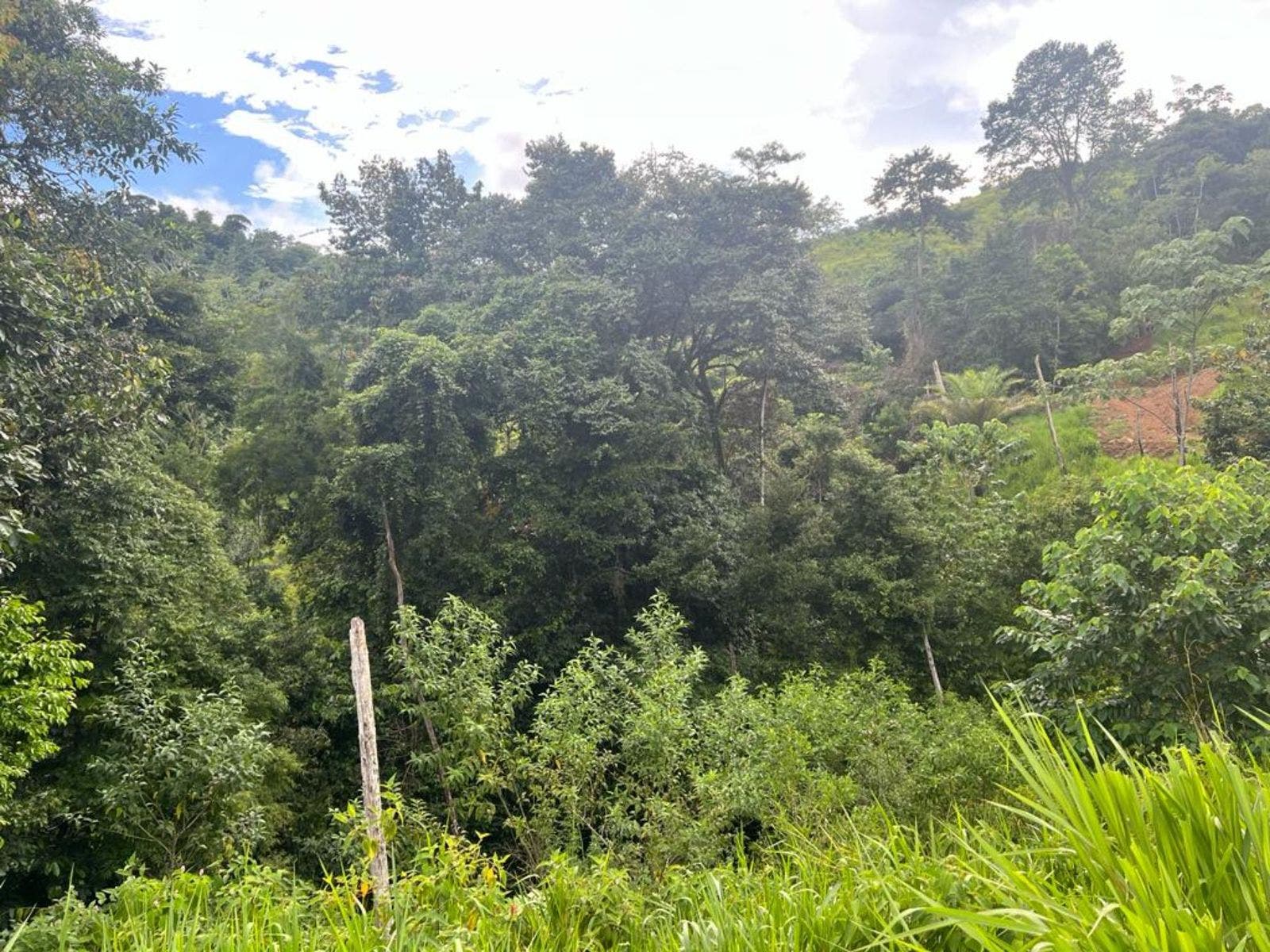 Multipurpose Farm with Accessible Waterfalls — foto 5 de 11