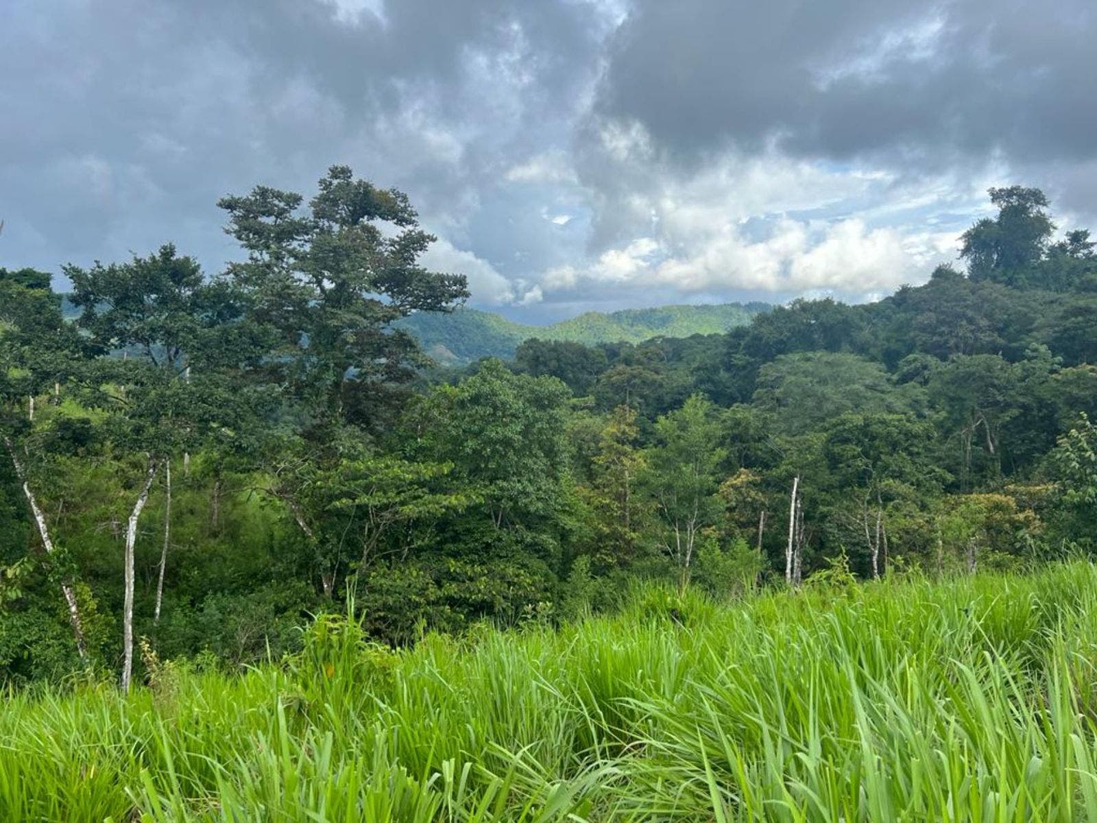 Multipurpose Farm with Accessible Waterfalls — foto 4 de 11