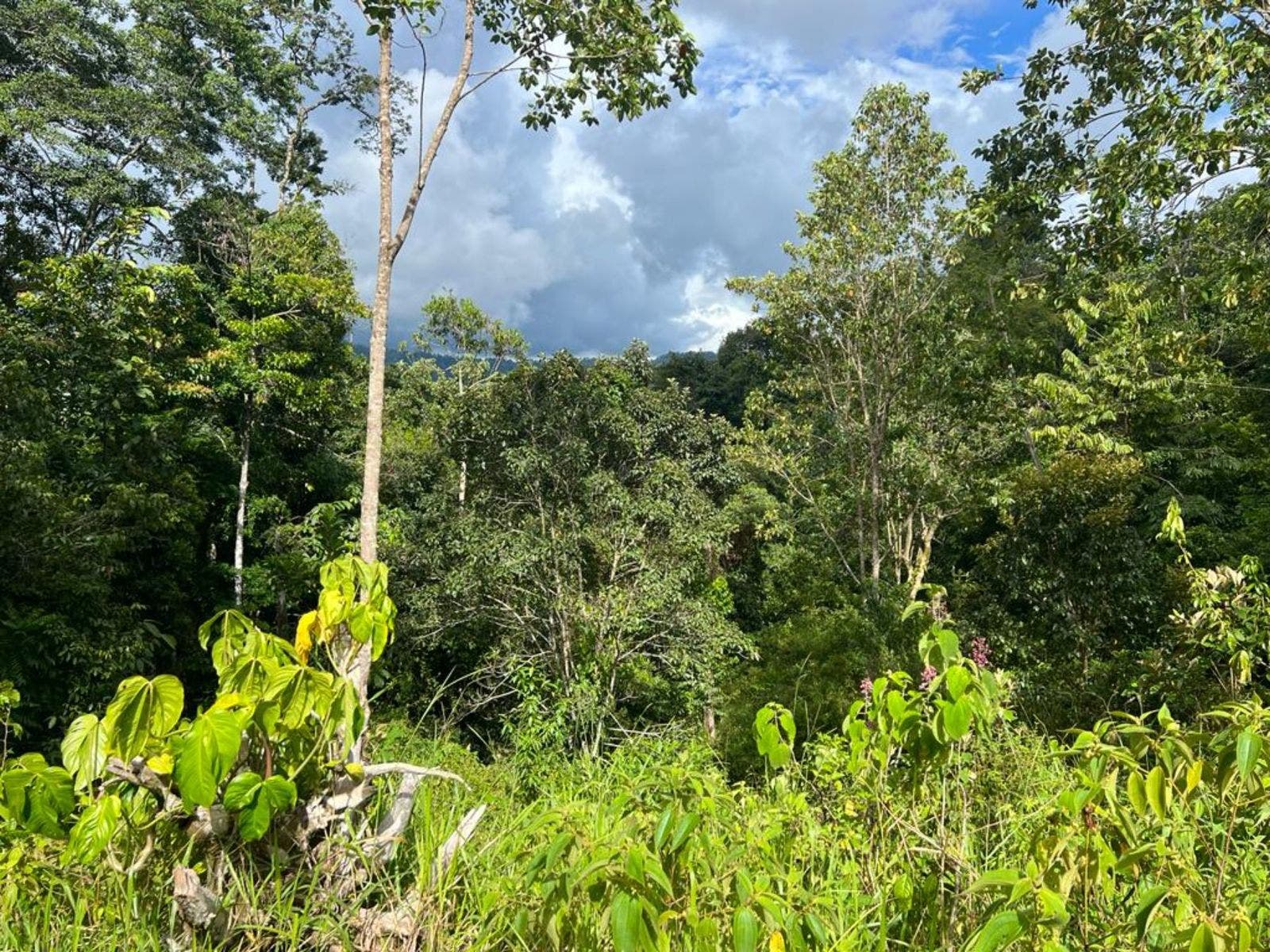 Multipurpose Farm with Accessible Waterfalls — foto 9 de 11