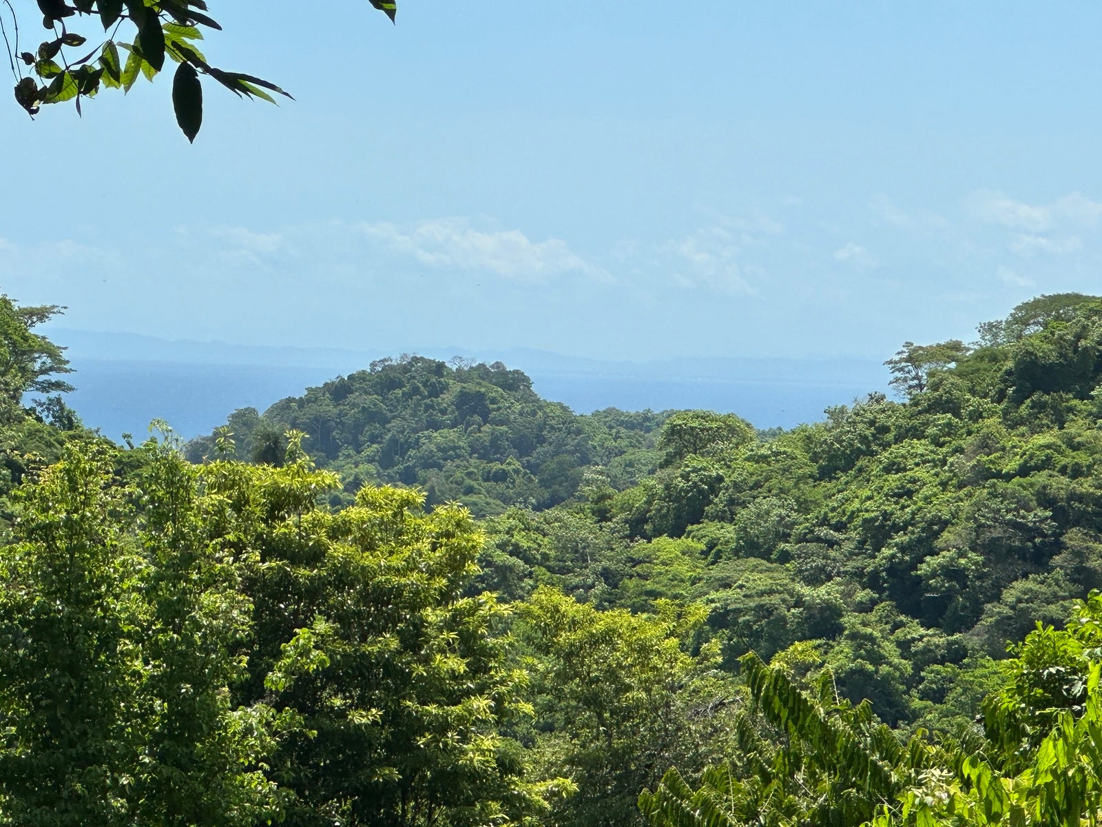 Best Lot location in Vista Tres Bahias, Los Suenos — photo 6 of 10