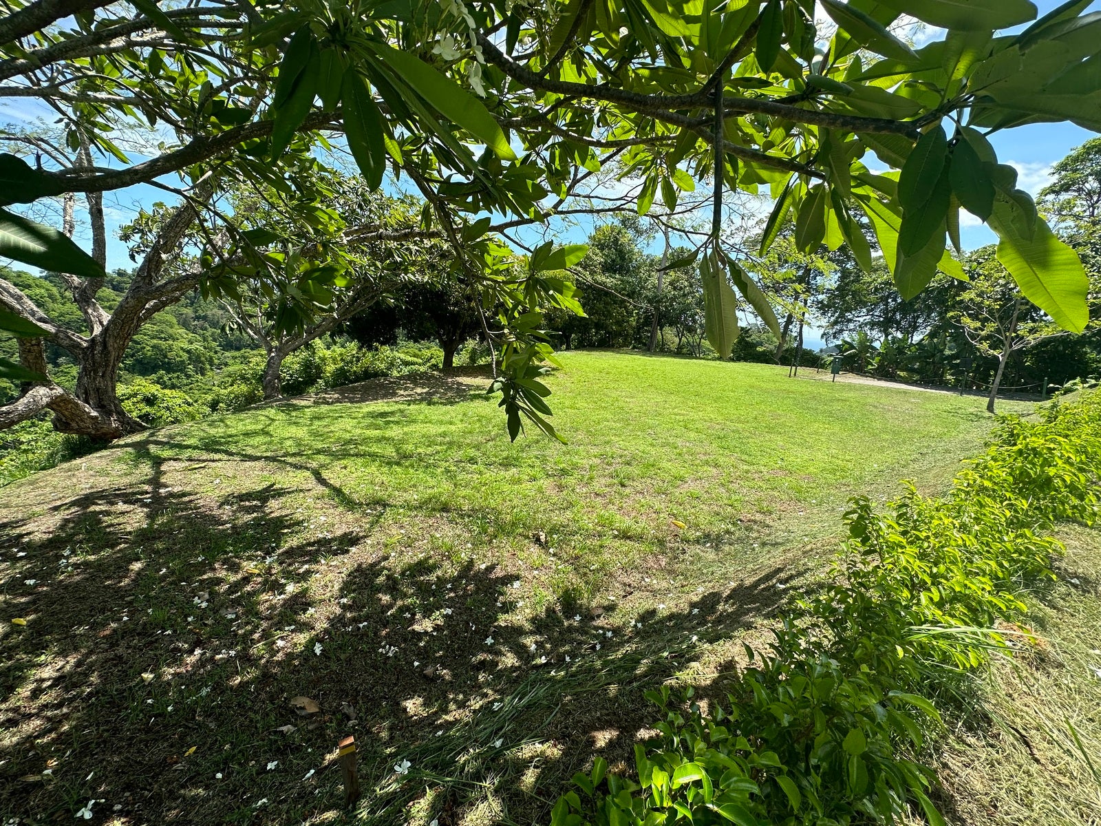 Best Lot location in Vista Tres Bahias, Los Suenos — photo 10 of 10