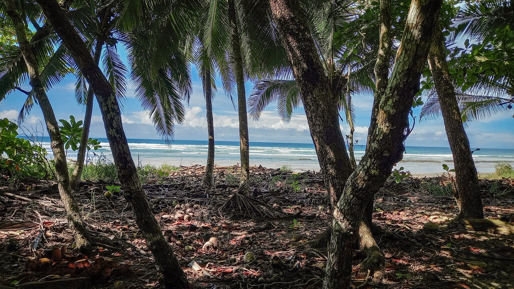 Beachfront in Playa Hermosa — photo 4 of 14