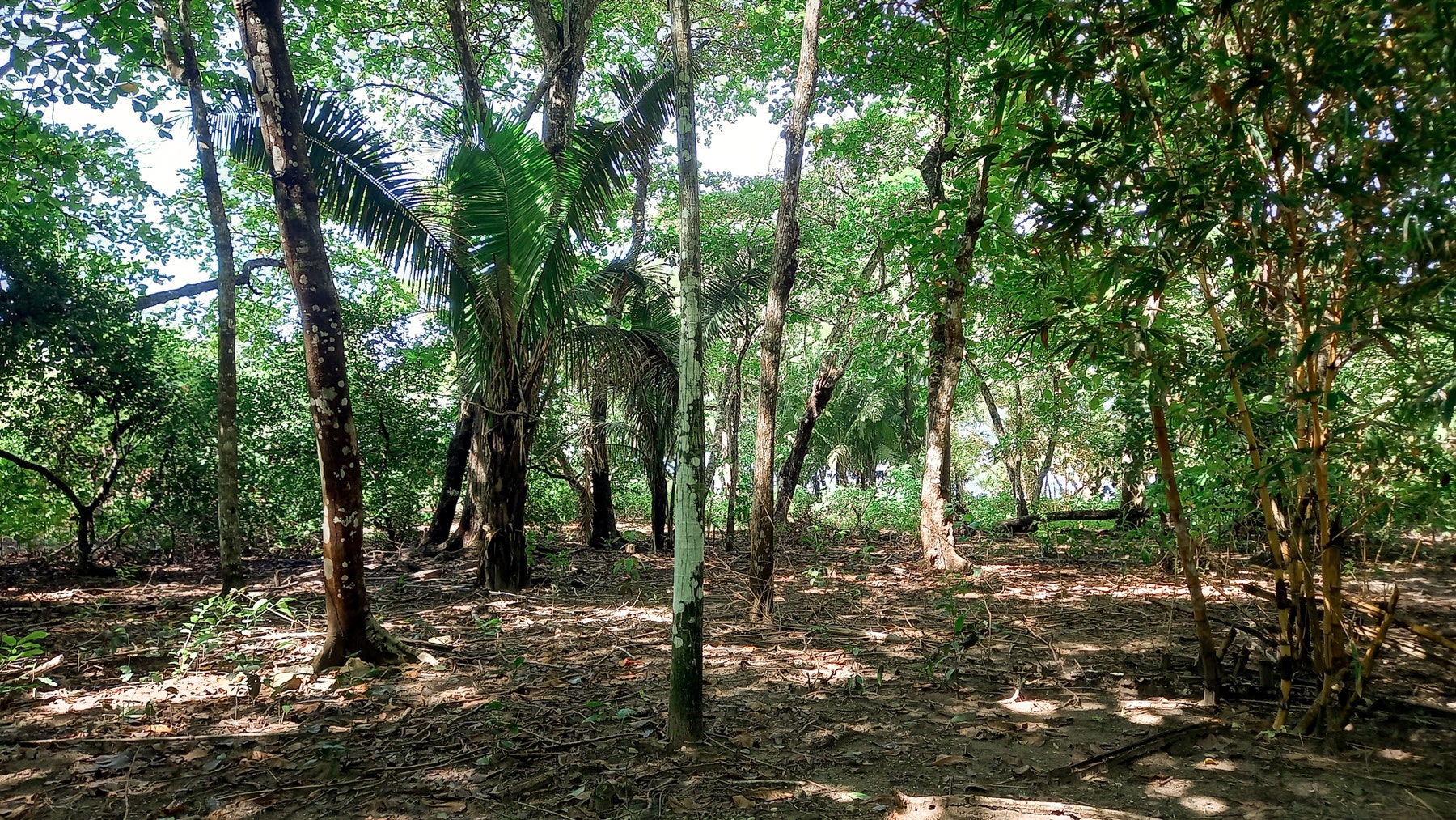 Beachfront in Playa Hermosa — photo 8 of 14