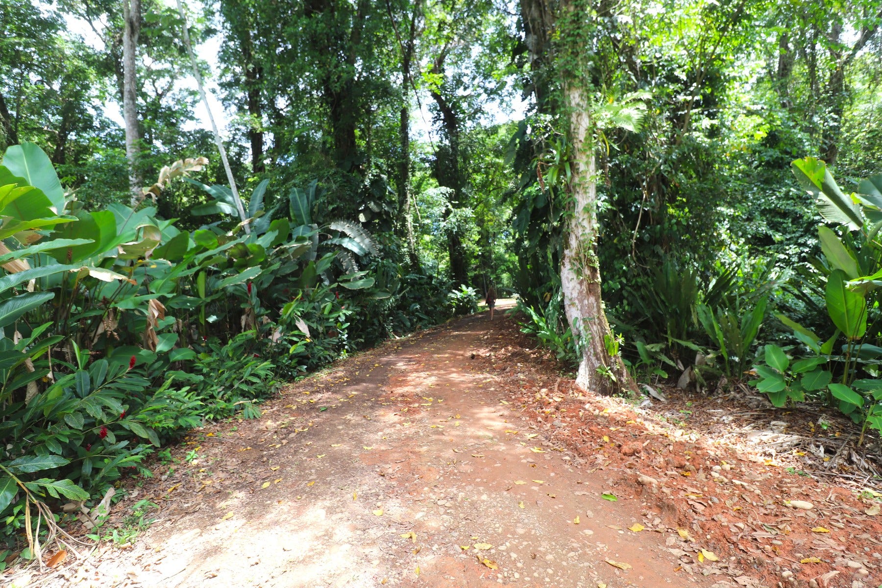 Beach Access Lot, Playa Ballena — photo 9 of 16