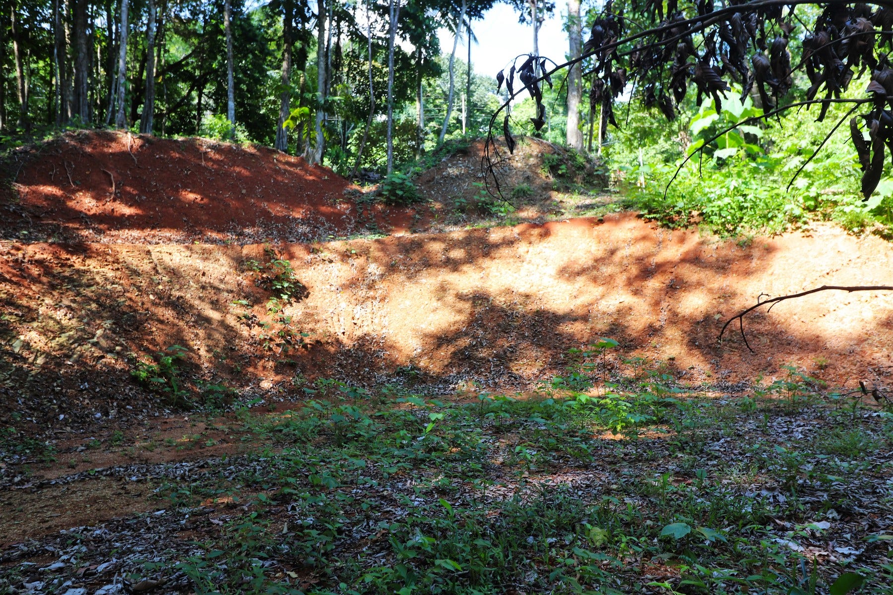 Beach Access Lot, Playa Ballena — photo 13 of 16