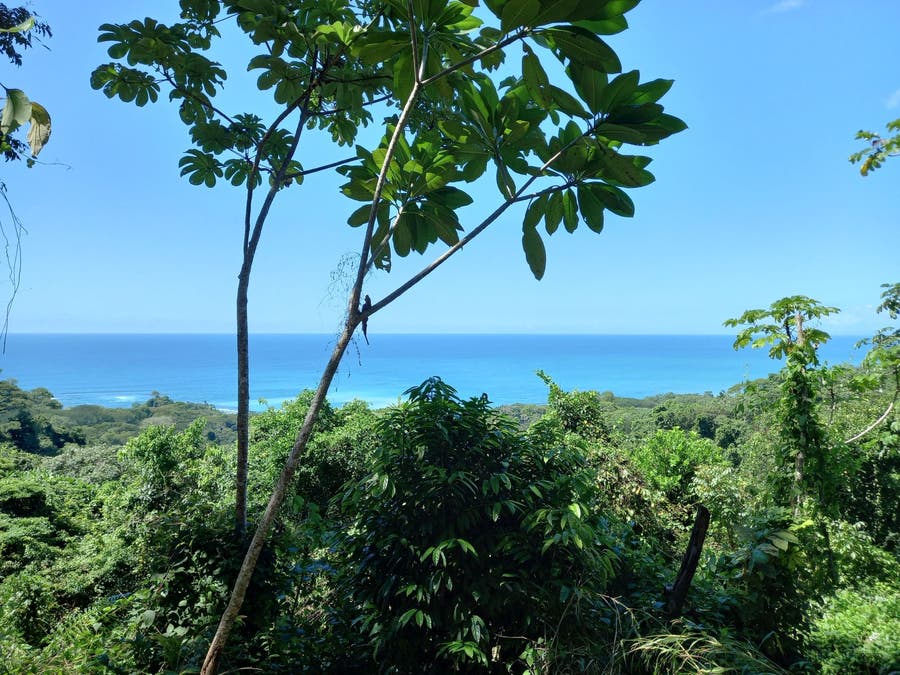 Property photo for Large Ocean View Lot in Mal Pais, Mal Pais, Santa Teresa, Cobano, Puntarenas, Puntarenas, Costa Rica
