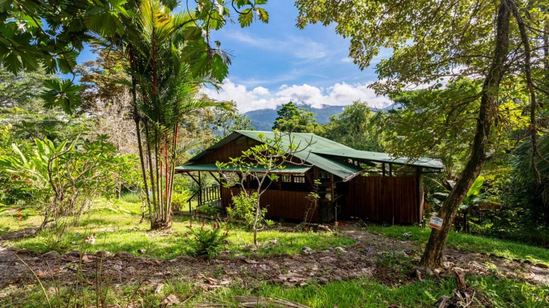 Expansive Property with Existing Cabin, Uvita, Dominical, Bahia Ballena, Osa, Puntarenas, Costa Rica 60504