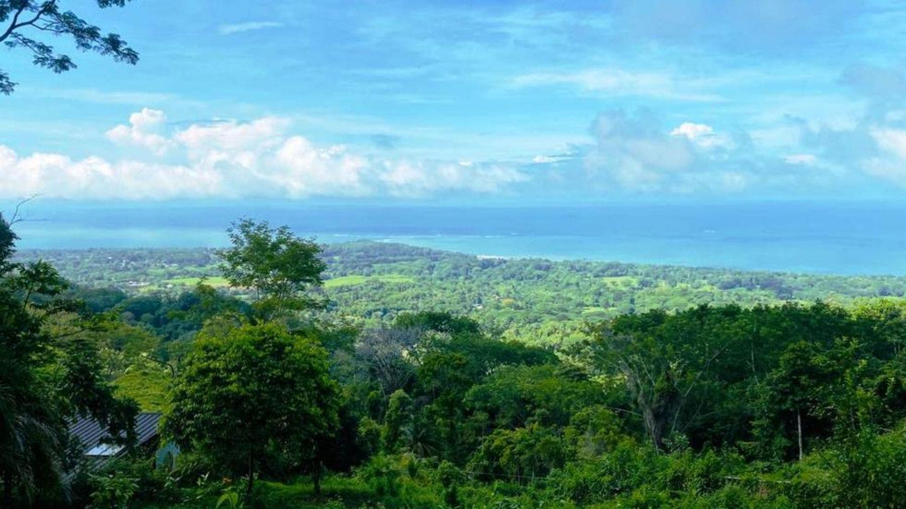 Versatile Parcel with Ocean View — photo 5 of 10