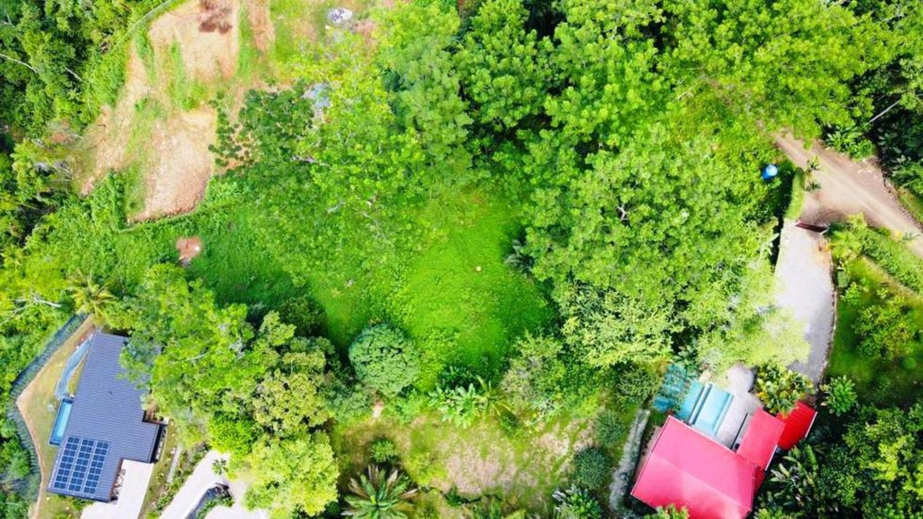 Versatile Parcel with Ocean View — photo 10 of 10