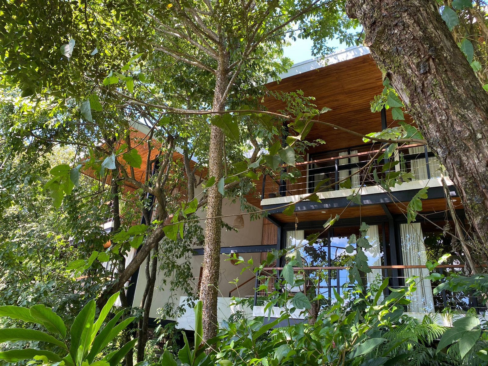 4 Bedroom with Jungle and Partial Ocean Views — photo 18 of 19