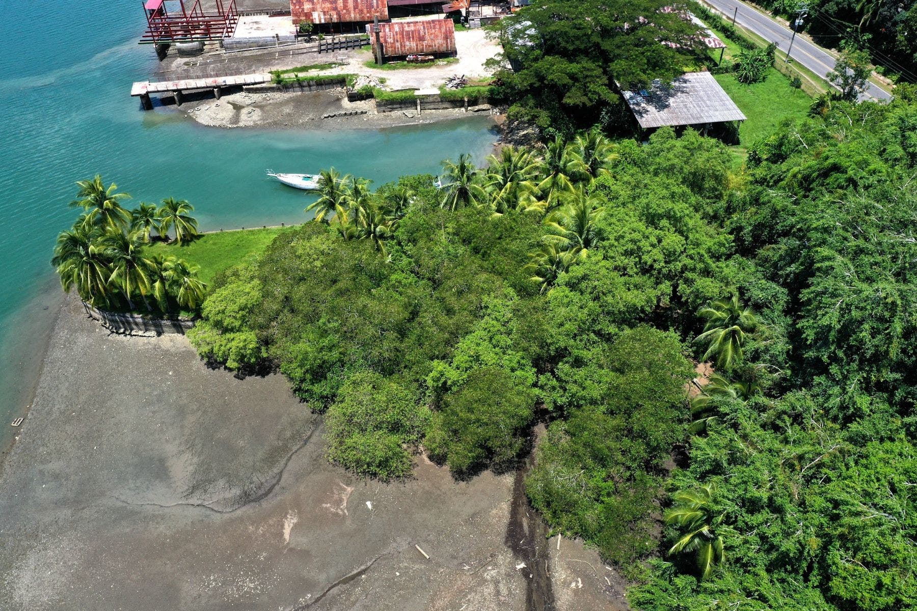 Unique Waterfront Land in Golfito — photo 6 of 11