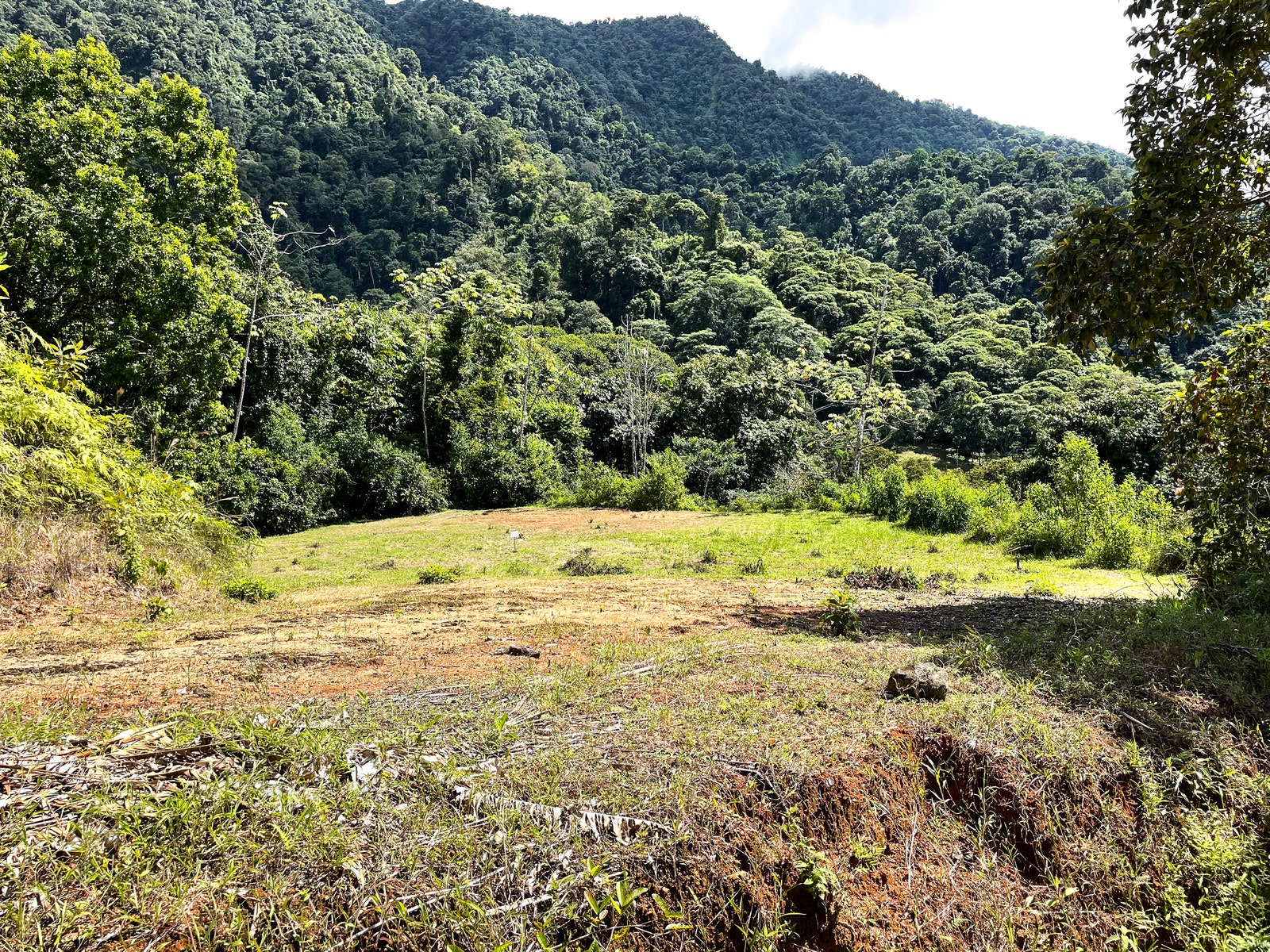 5+ Acre Lot in Avancari, Ojochal, Private Waterfall — photo 2 of 9