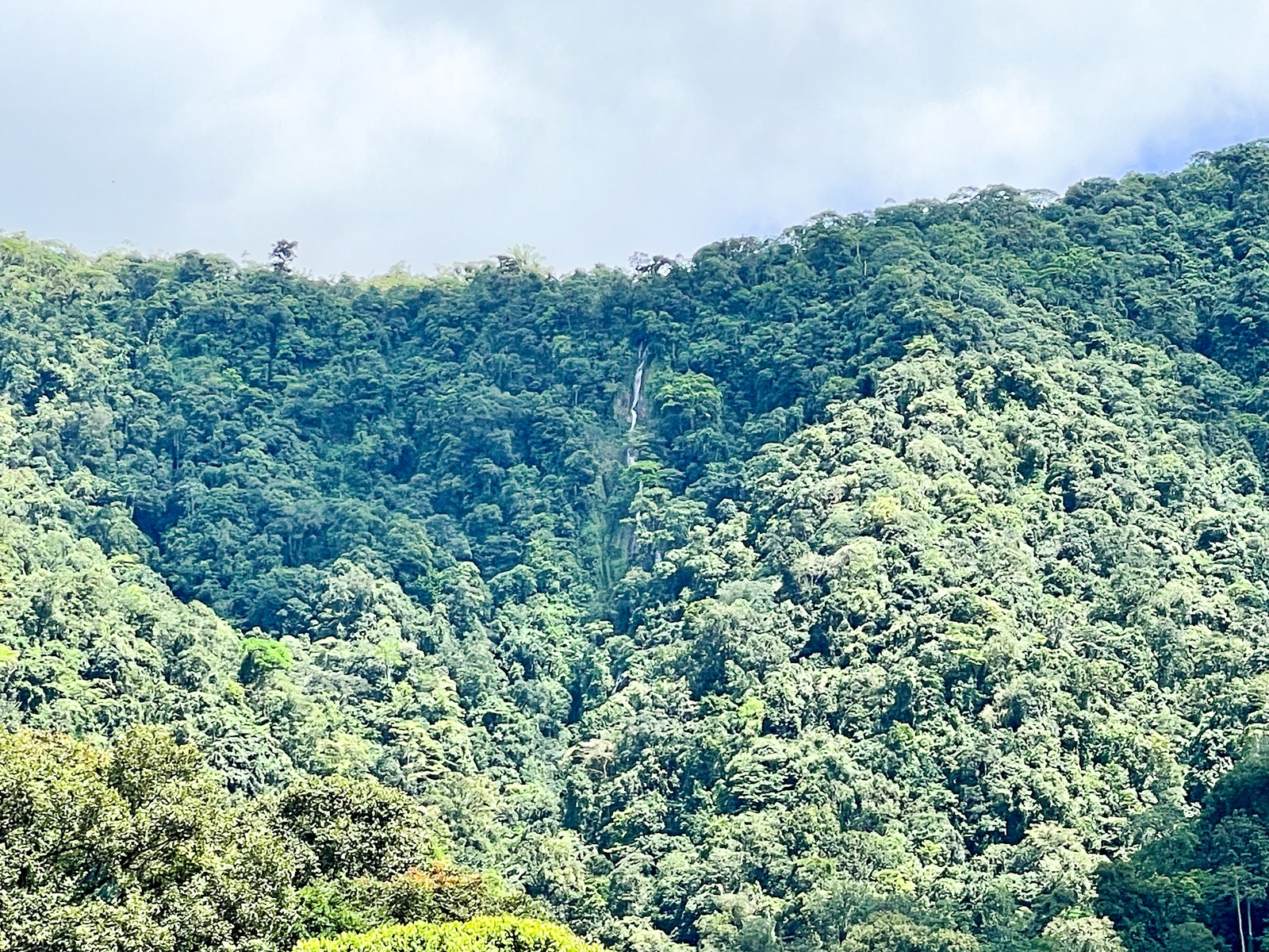 5+ Acre Lot in Avancari, Ojochal, Private Waterfall — photo 5 of 9