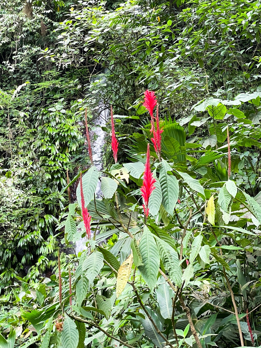 5+ Acre Lot in Avancari, Ojochal, Private Waterfall — photo 8 of 9