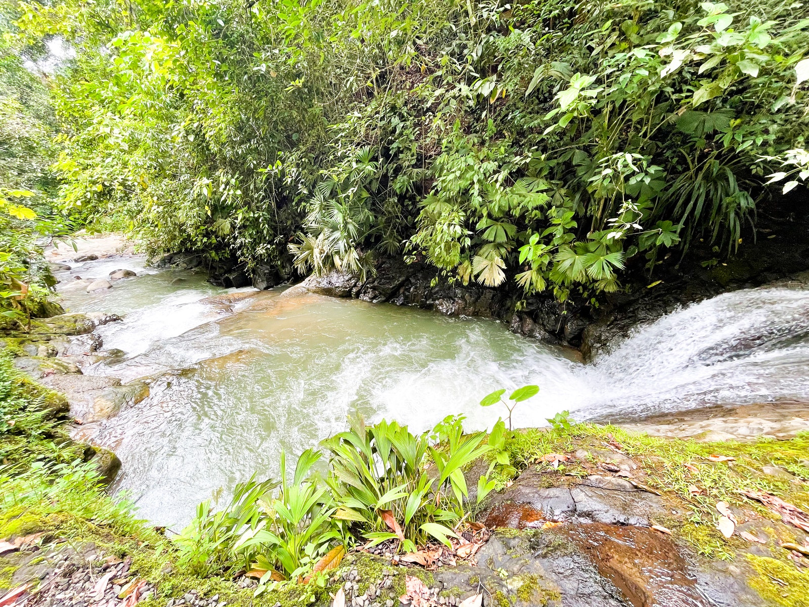 5+ Acre Lot in Avancari, Ojochal, Private Waterfall — photo 9 of 9