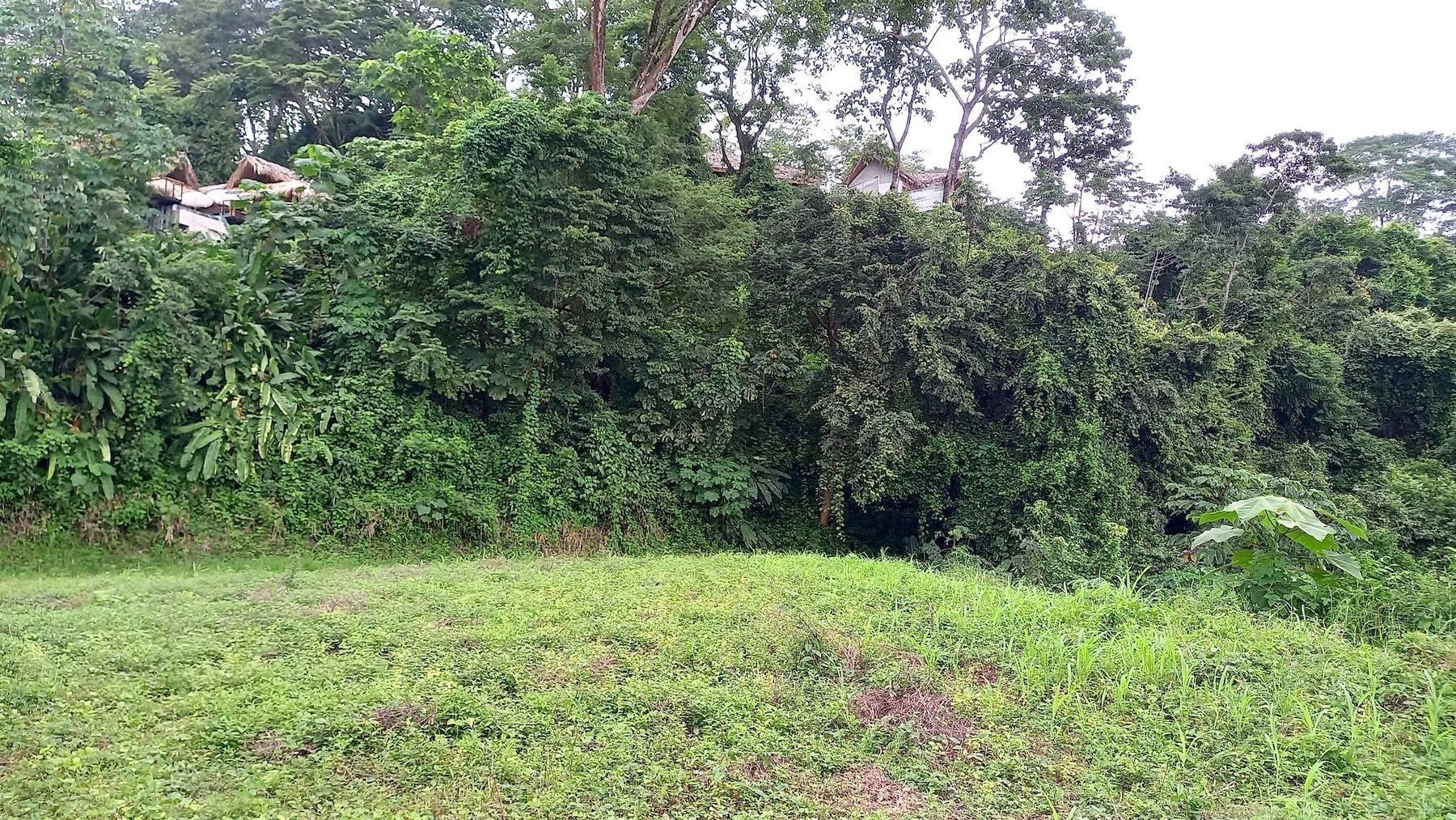 Ocean View Lot in Mal Pais — photo 8 of 12