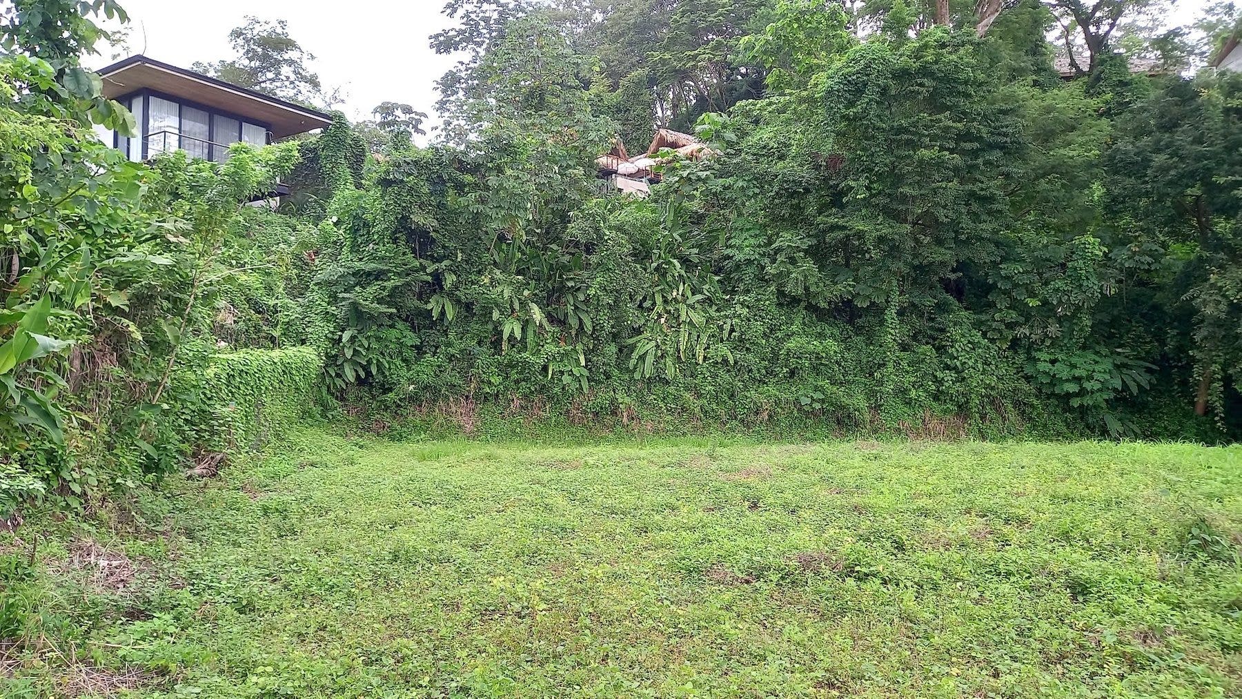 Ocean View Lot in Mal Pais — photo 9 of 12