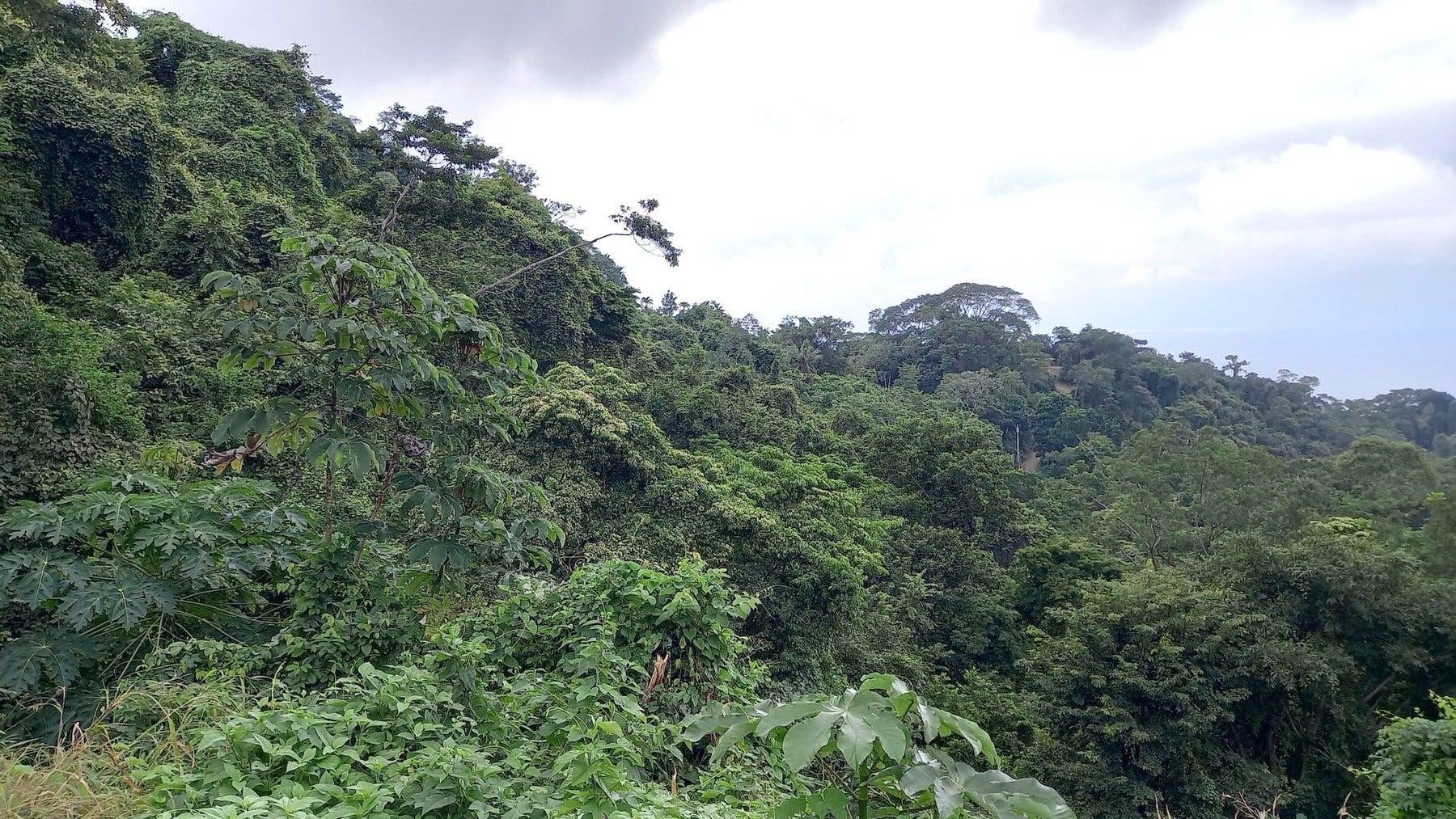 Ocean View Lot in Mal Pais — photo 12 of 12