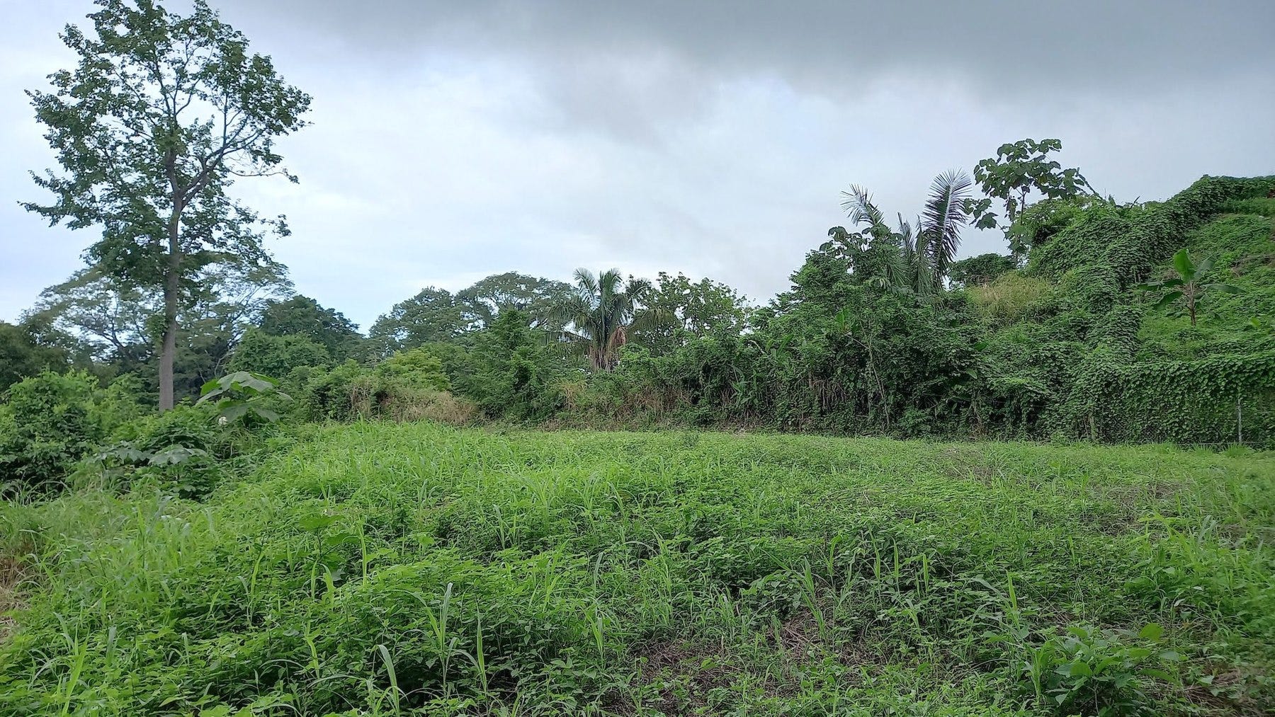 Ocean View Lot in Mal Pais — photo 7 of 12