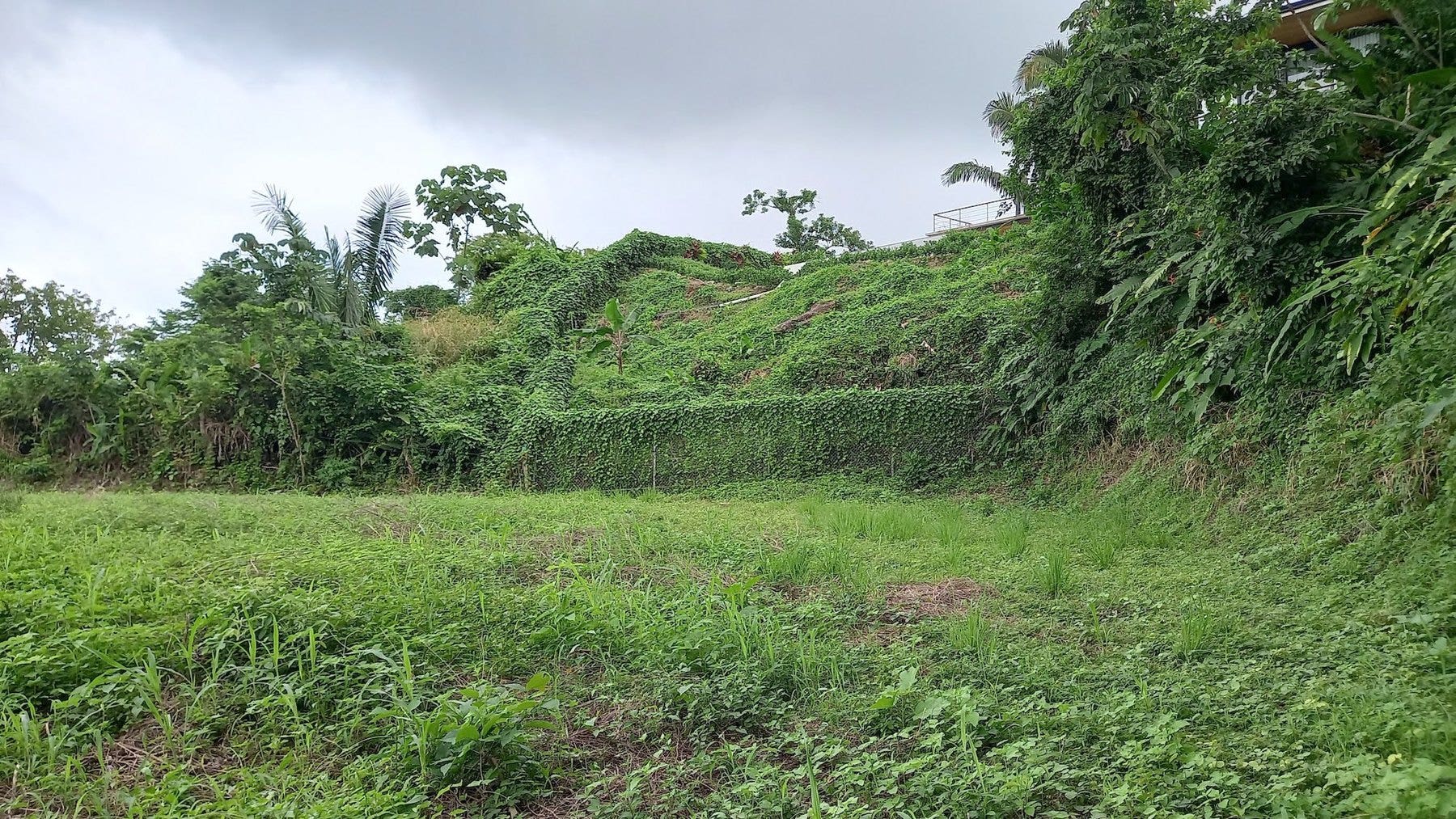 Ocean View Lot in Mal Pais — photo 4 of 12