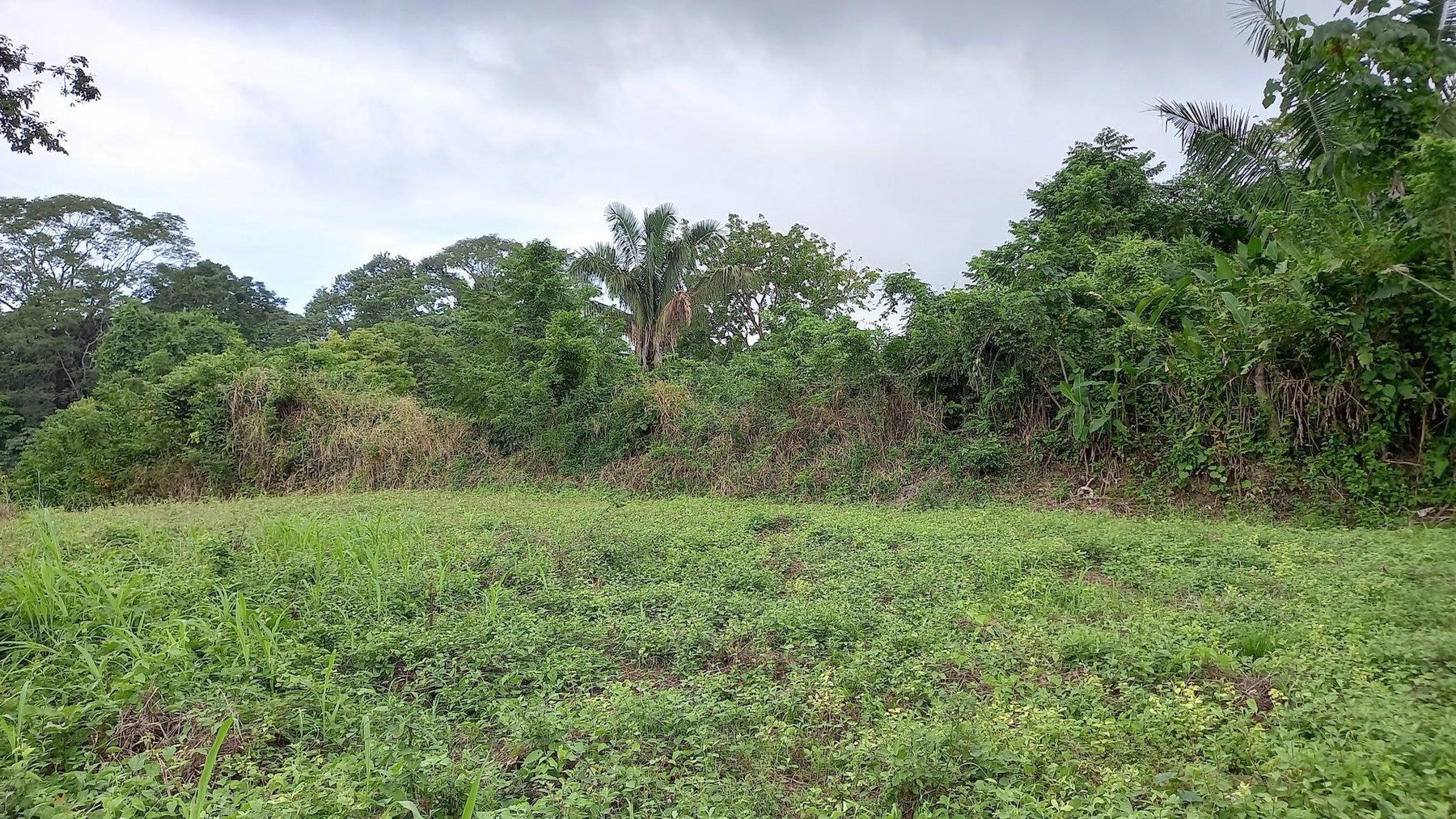 Ocean View Lot in Mal Pais — photo 5 of 12