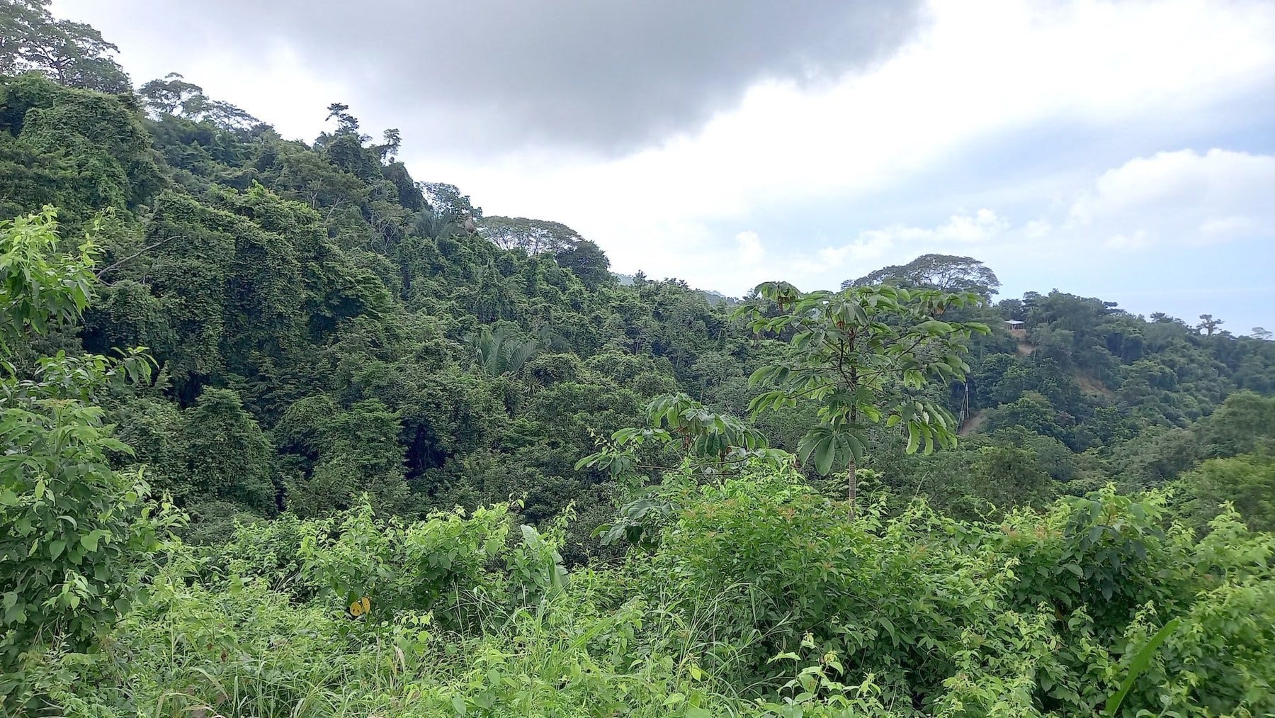 Ocean View Lot in Mal Pais — photo 6 of 12