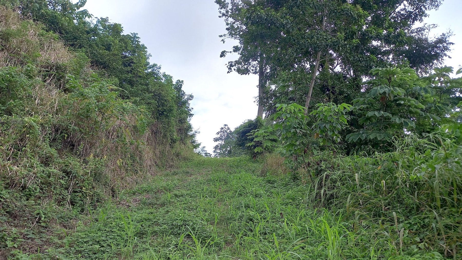 Ocean View Lot in Mal Pais — photo 10 of 12