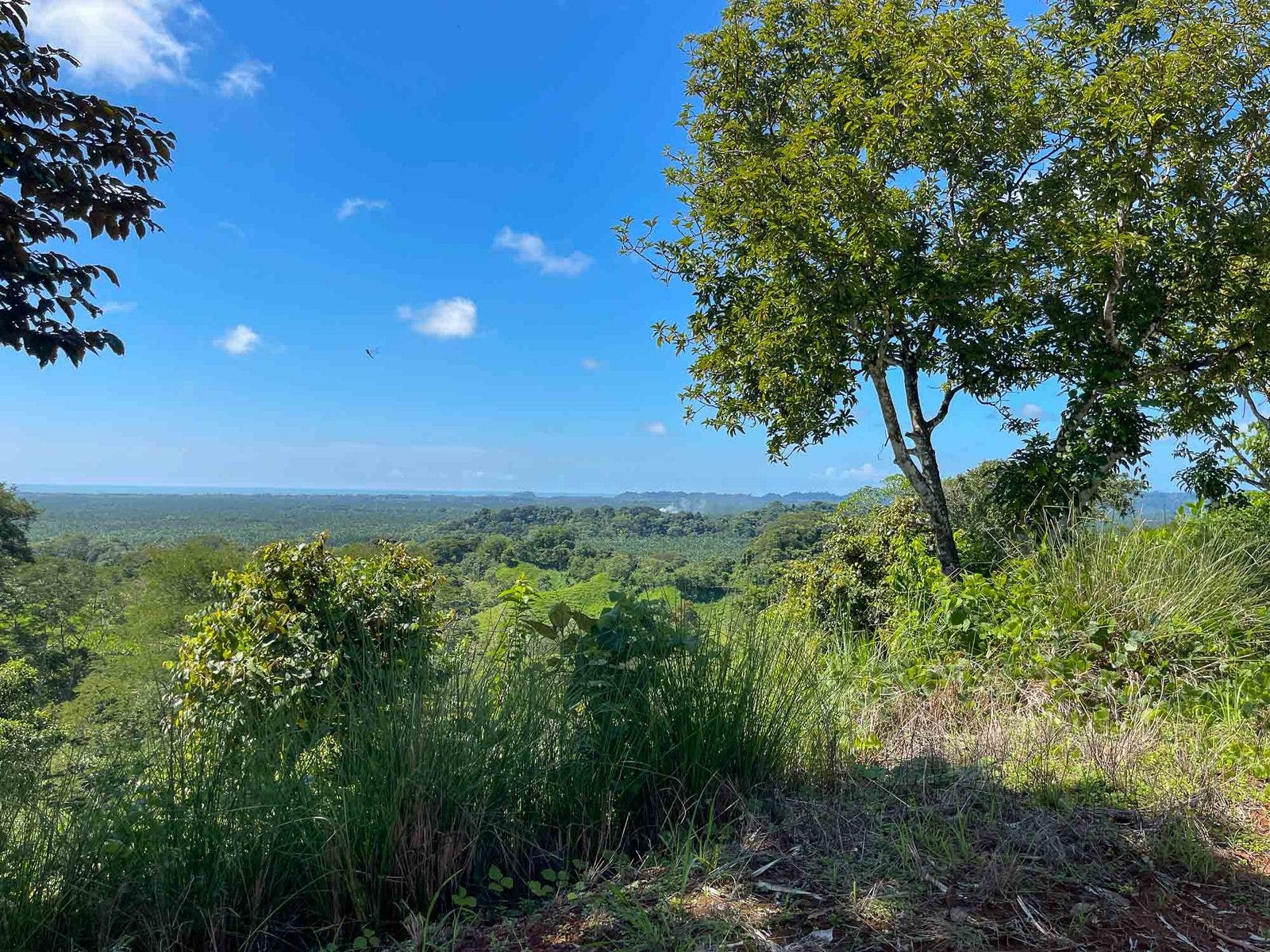 Ready to Build Development Property  with Expansive Ocean and Mountain Views — photo 4 of 19