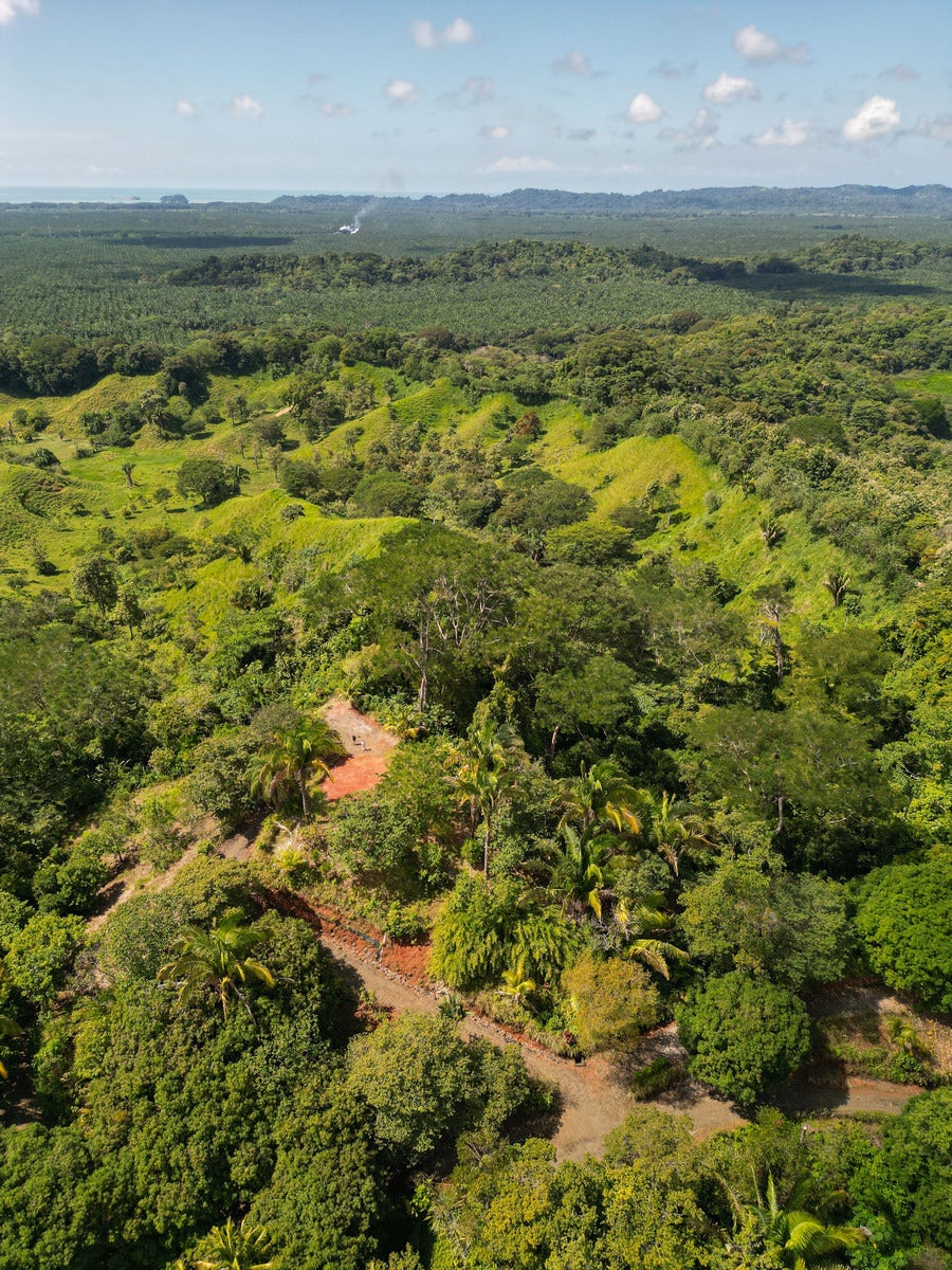 Ready to Build Development Property  with Expansive Ocean and Mountain Views — photo 13 of 19