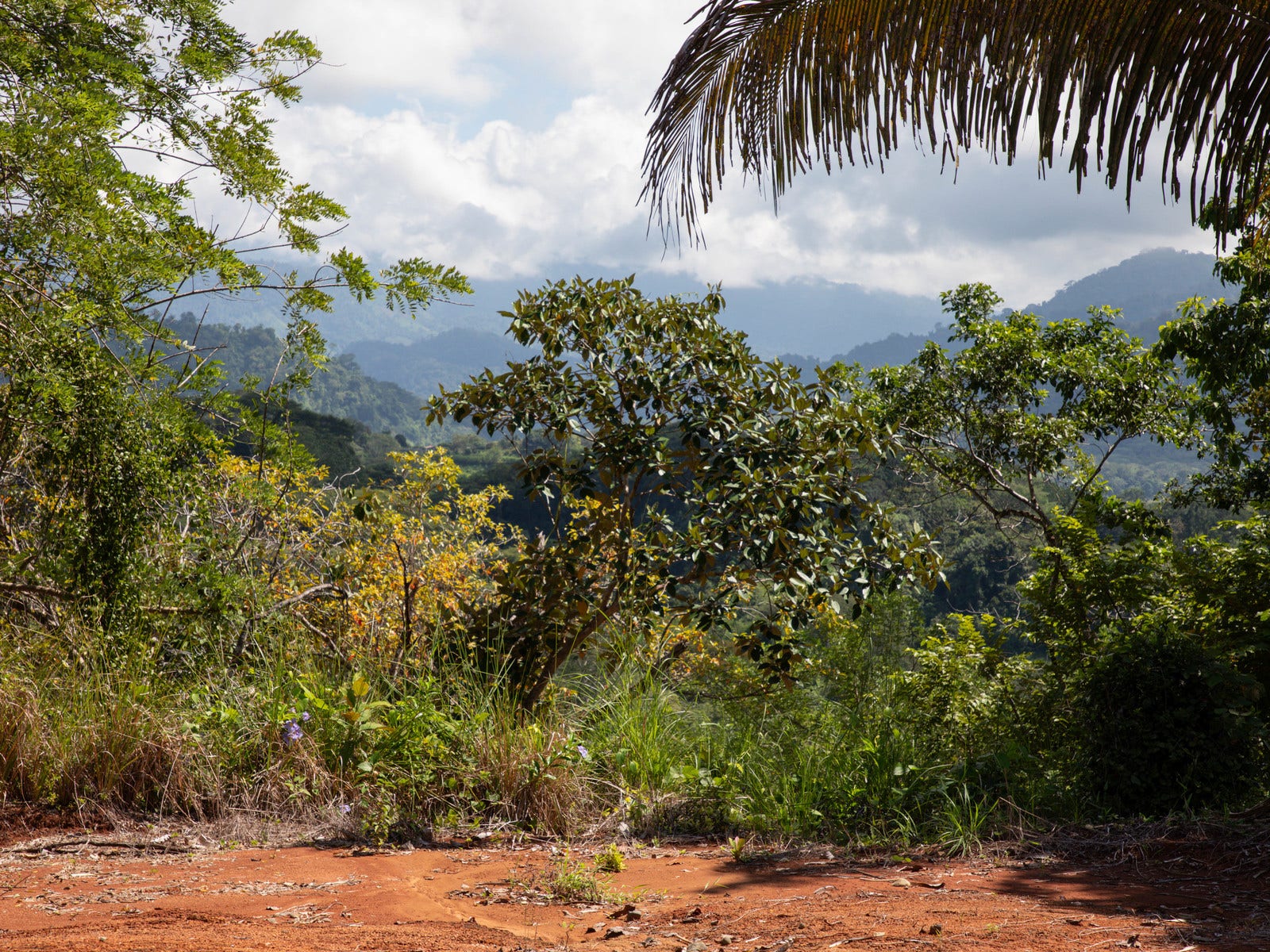 Ready to Build Development Property  with Expansive Ocean and Mountain Views — photo 14 of 19