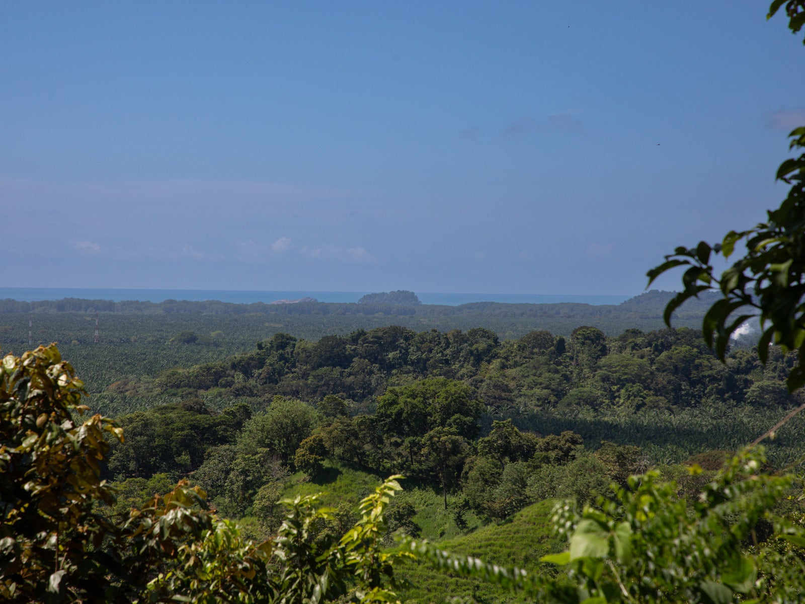 Ready to Build Development Property  with Expansive Ocean and Mountain Views — photo 15 of 19